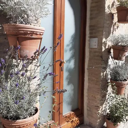 Domus San Francesco Gasthof